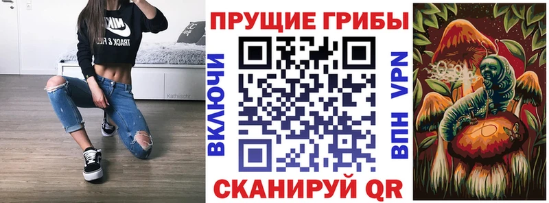 Псилоцибиновые грибы Psilocybe  Грозный 